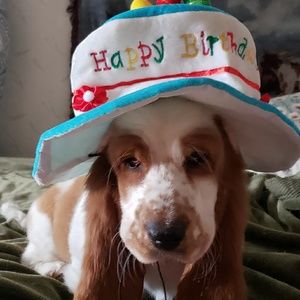 Meet your Posher, Tiffany